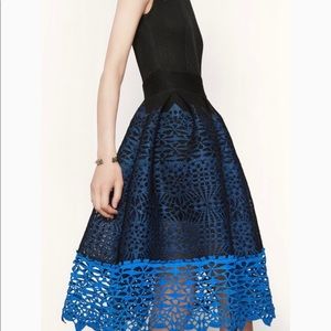 Lace Skirt